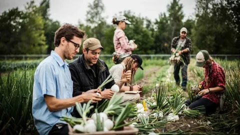 Farm Jobs in Italy 
