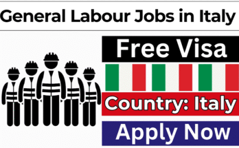 Blue Collar Jobs in Italy 2026